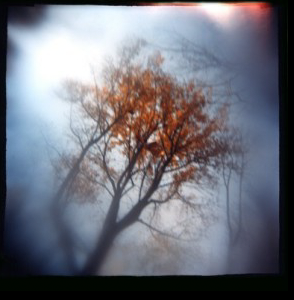 Nichoas Walster, East Hampton